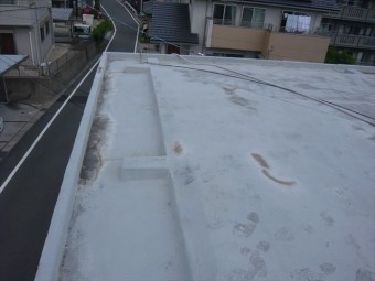 屋根の全景