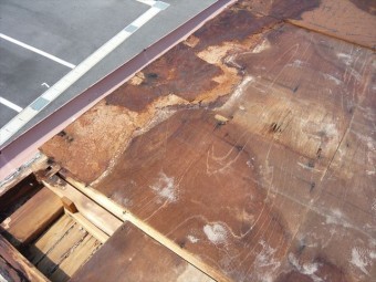 板金が剥がれた部分の下地