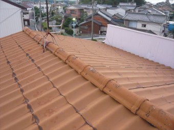 屋根の全景