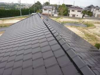 屋根の全景
