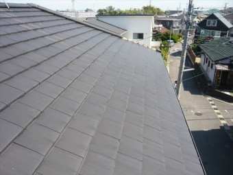 屋根の全景