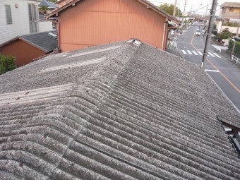 屋根の全景