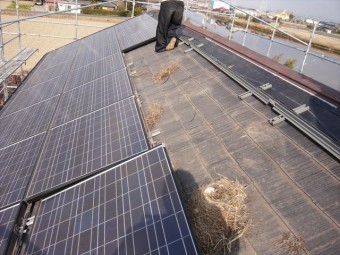 太陽光パネルを外す