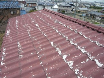 屋根の全景