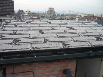 屋根の全景