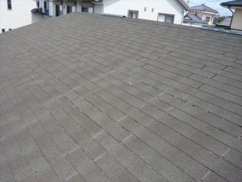 離れの屋根の全景