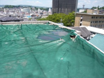 陸屋根の全景