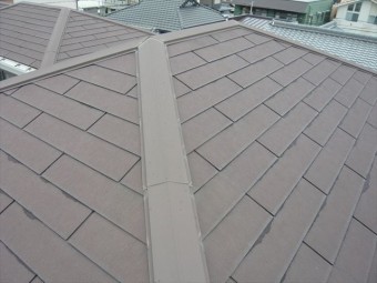 スレート屋根の全景