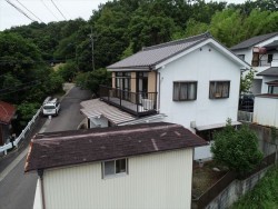 カラーベスト点検