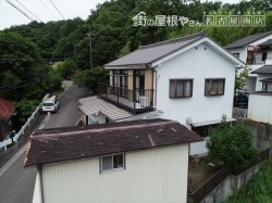 カラーベスト点検