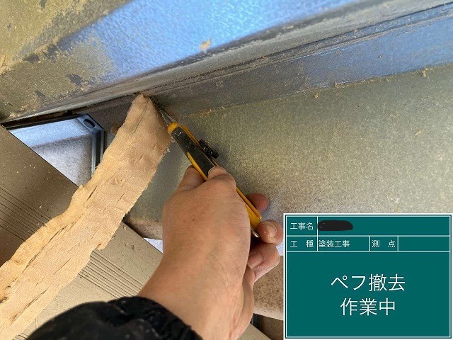 ぺフの除去作業