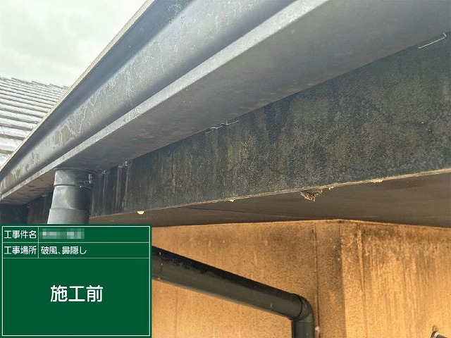 色あせと塗膜剥がれが見られる塗装前の鼻隠しの状態