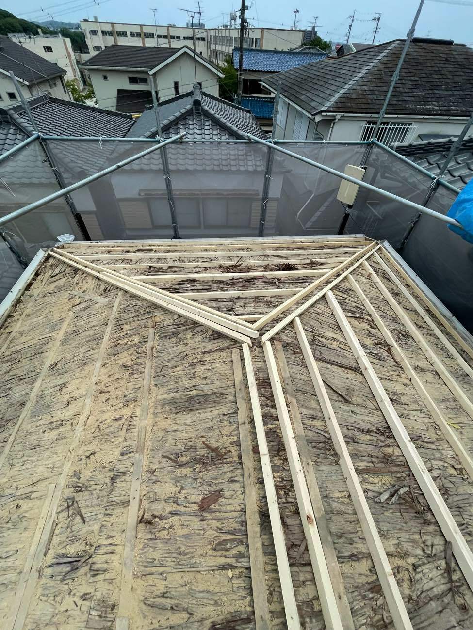 垂木の骨組み