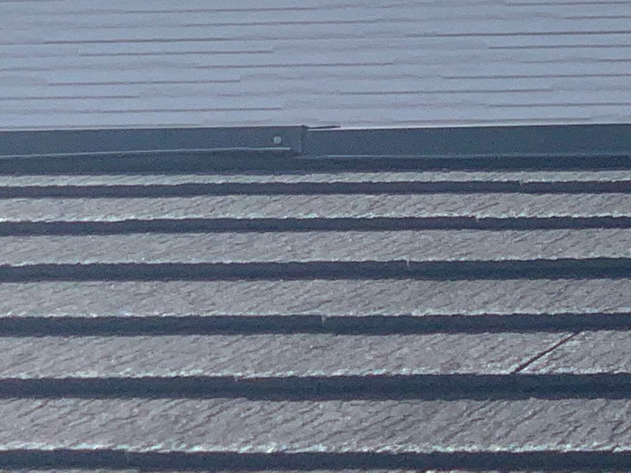 苔やカビが発生したカラーベスト