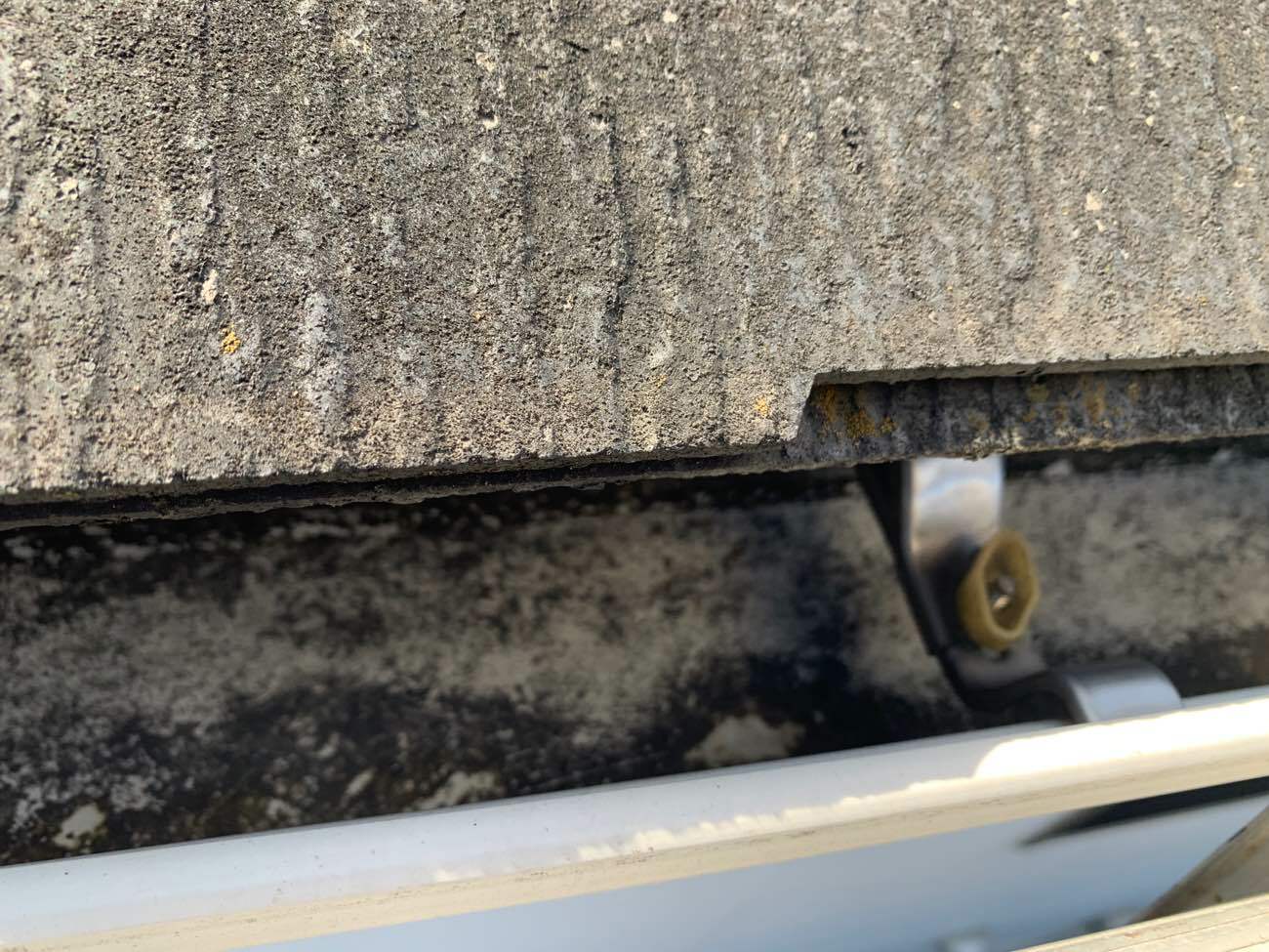 雨樋に溜まった汚れ