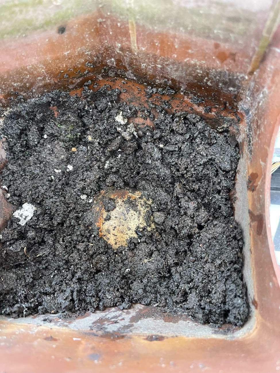 雨樋トラブルに関する調査