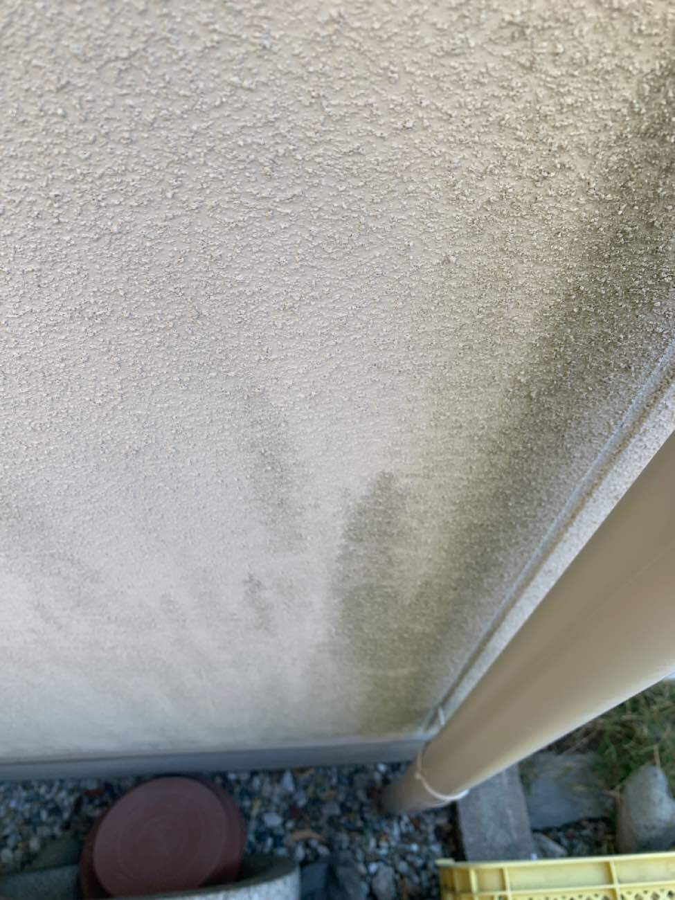 外壁に発生したカビ