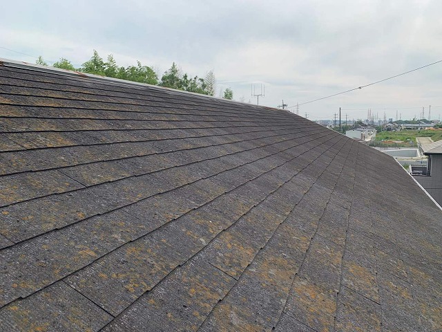 名古屋市天白区：屋根に発生した苔を放置するリスクや効果的な予防策を徹底解説
