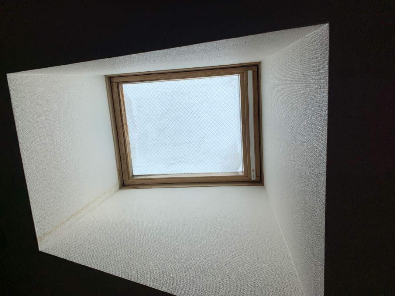 天窓の雨漏り調査