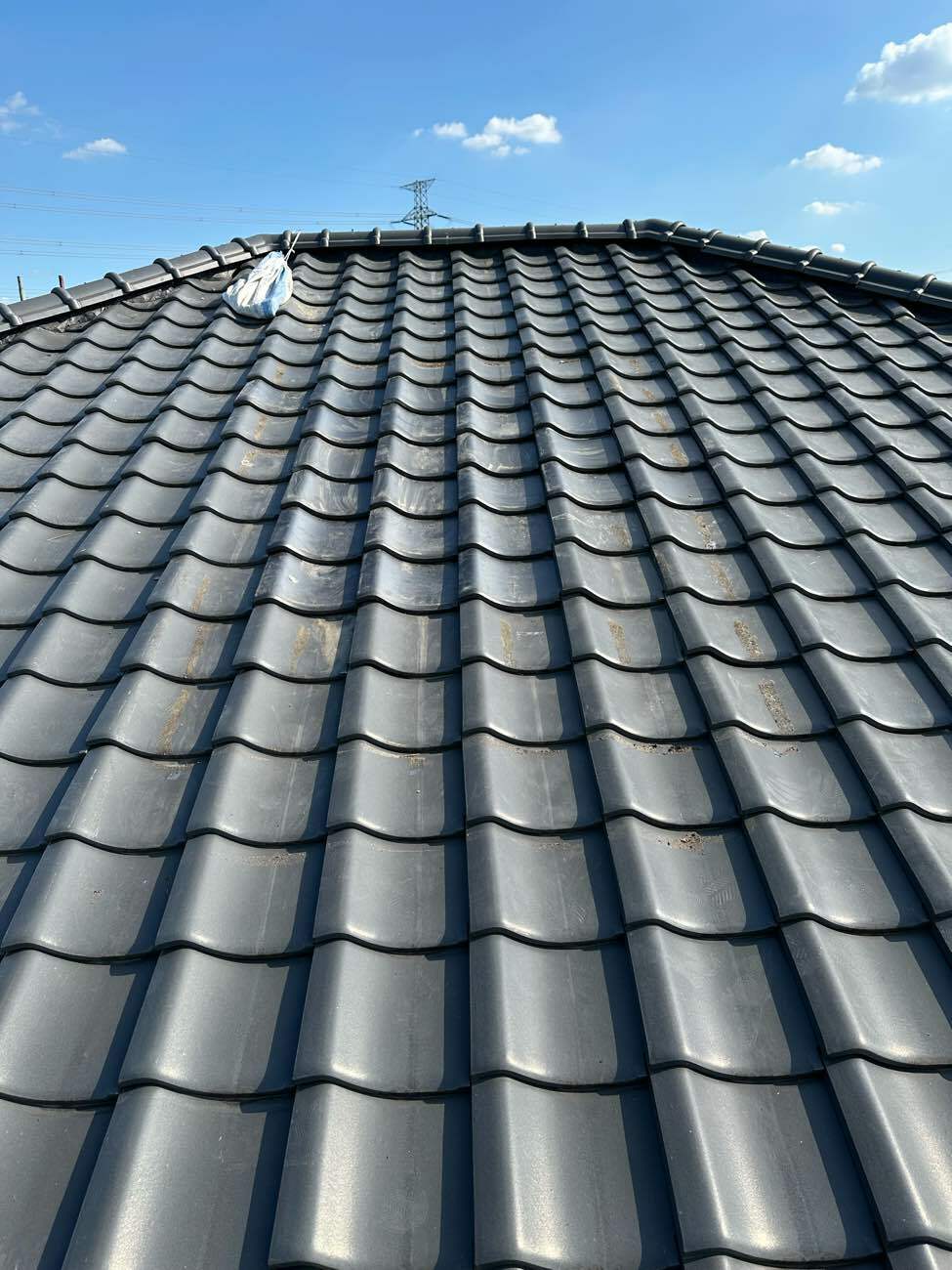 天窓撤去後の屋根