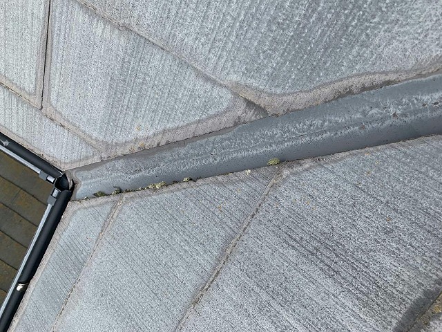 スレート屋根の谷部で苔が発生している状況