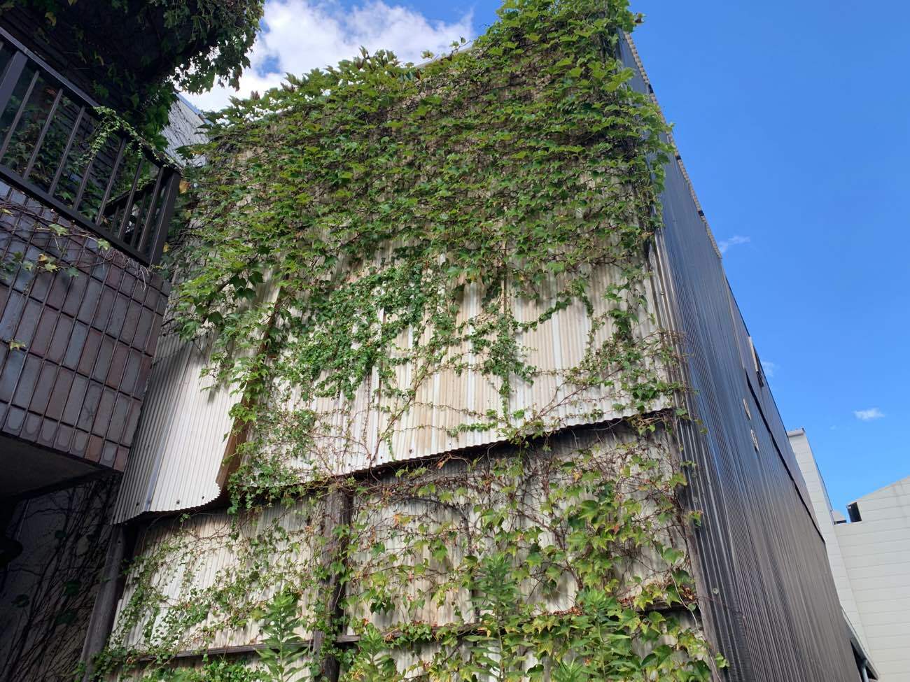 波板張り替え前