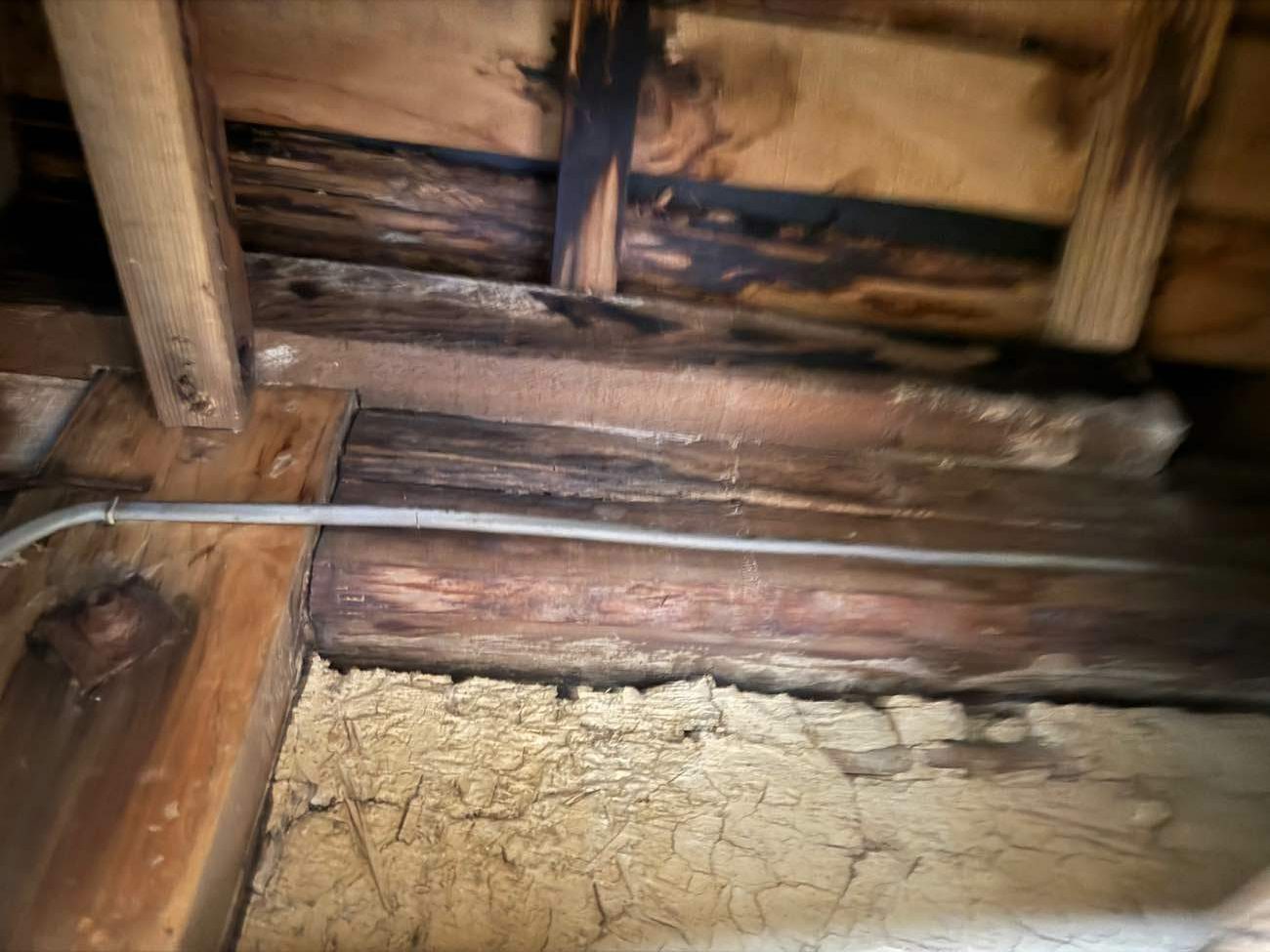 和室に雨漏りの被害