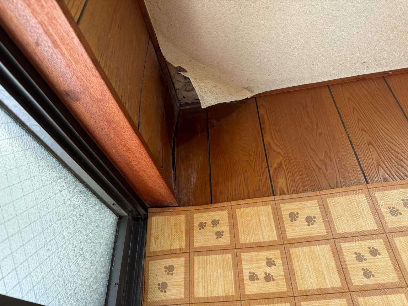 雨漏りが発生した室内