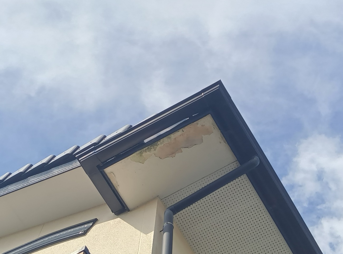 豊橋市　現地調査で軒天の劣化を確認
