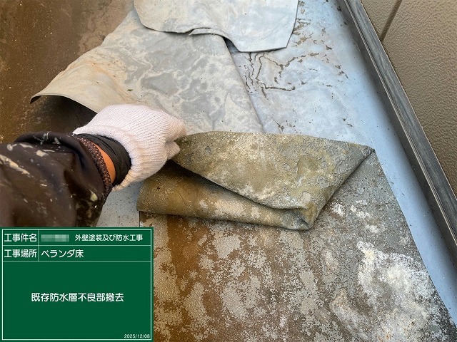 既存のシート防水の不良部を手で剥がして撤去している様子