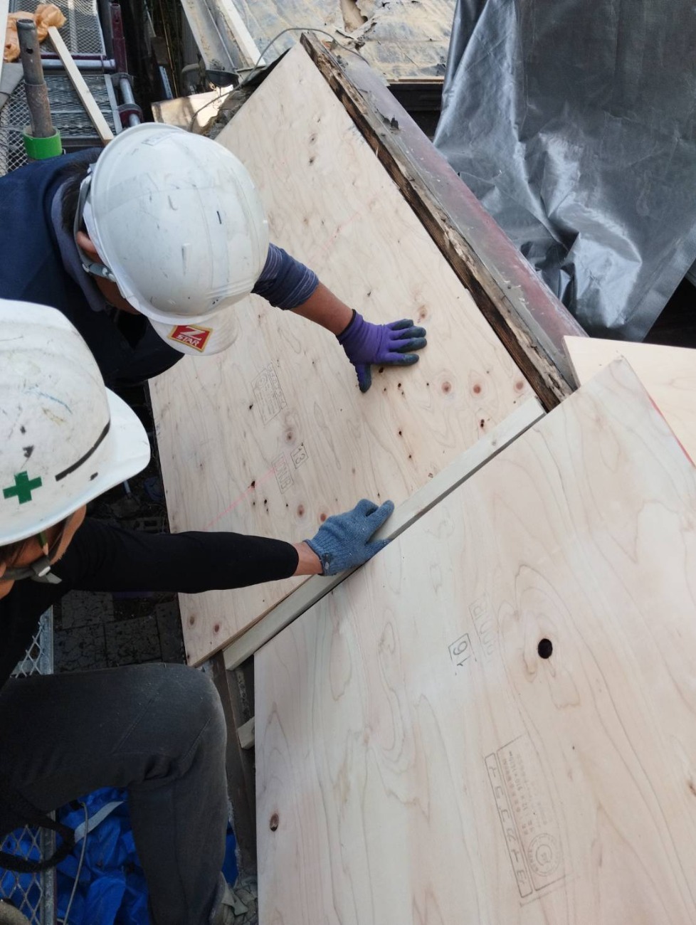 構造用合板をビスで固定