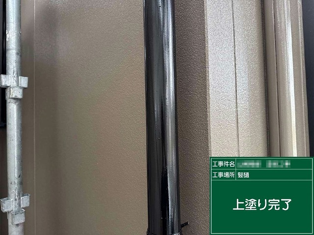 外壁および付帯部塗装工事の竪樋塗装完了状況