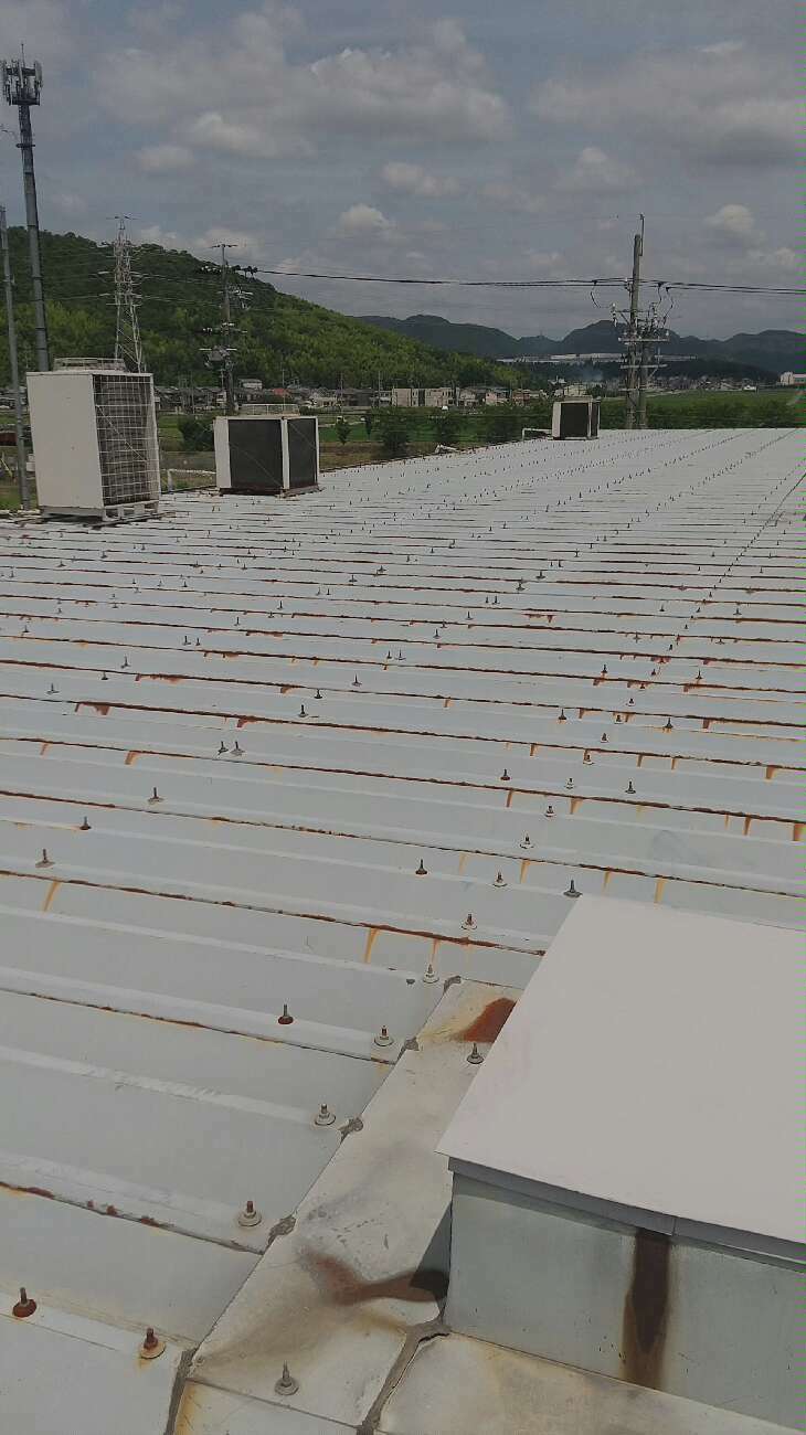 折板屋根に発生したサビ