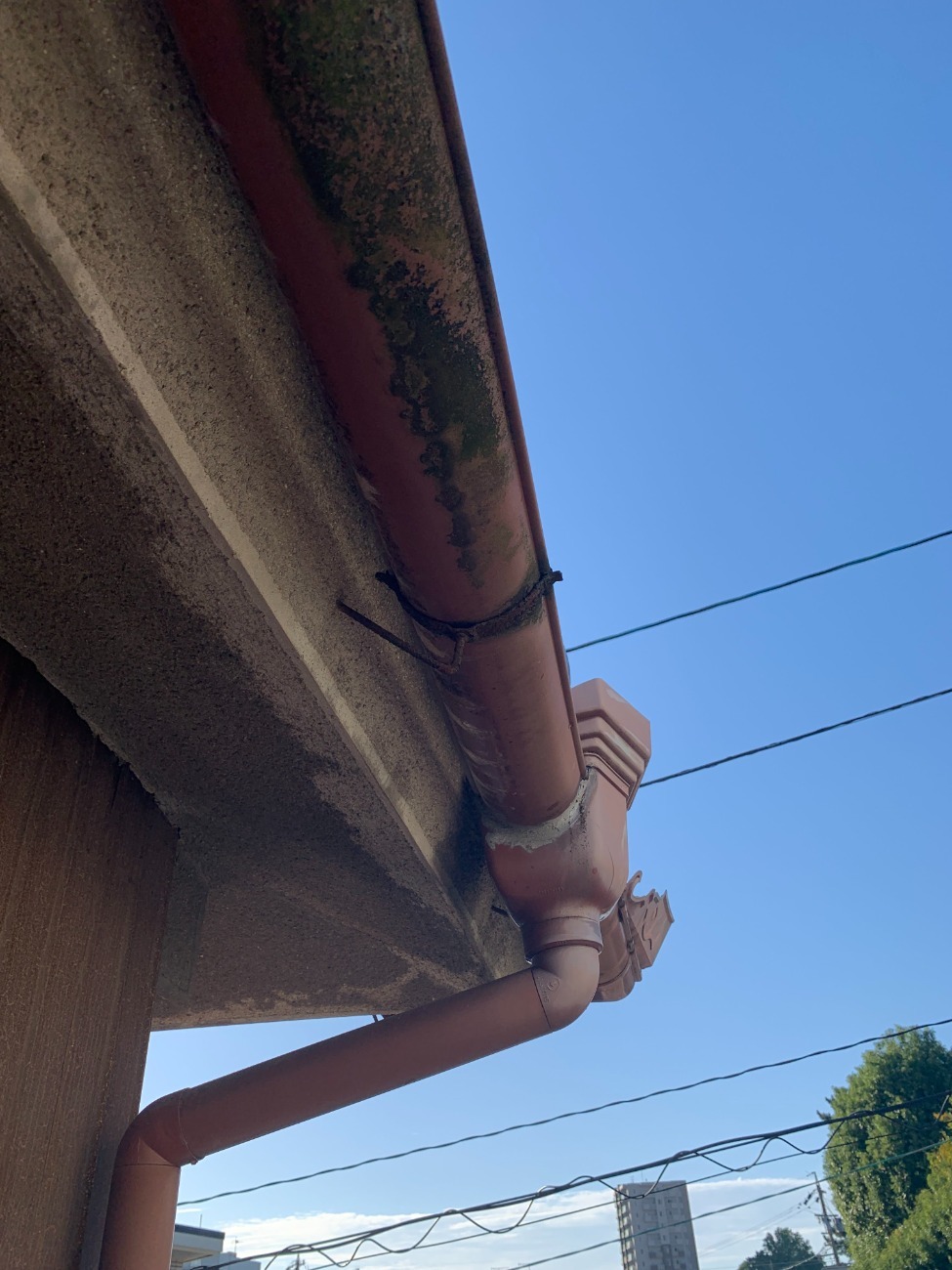 雨樋のオーバーフロー