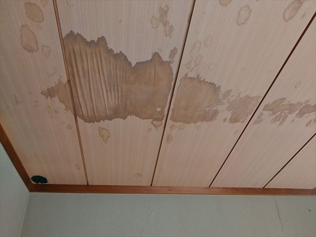 雨漏りによる天井板の染み
