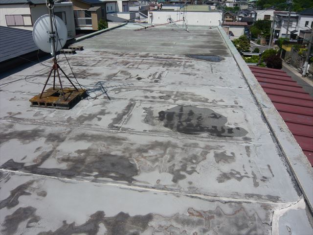 屋上防水の全景