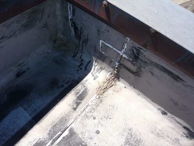 屋上防水の劣化