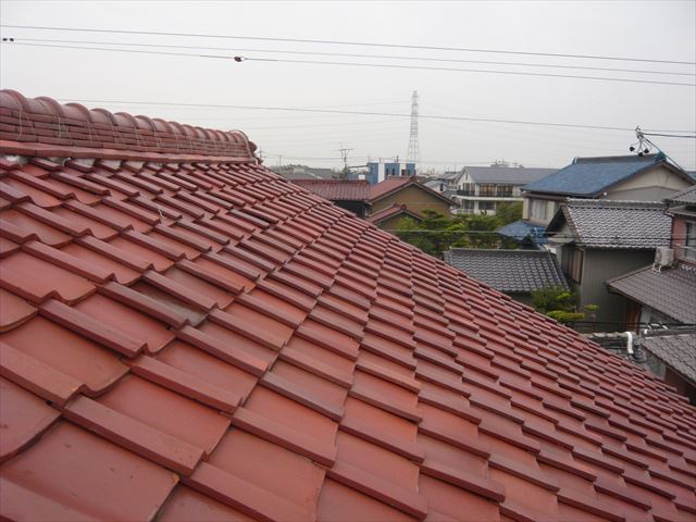 屋根の全景