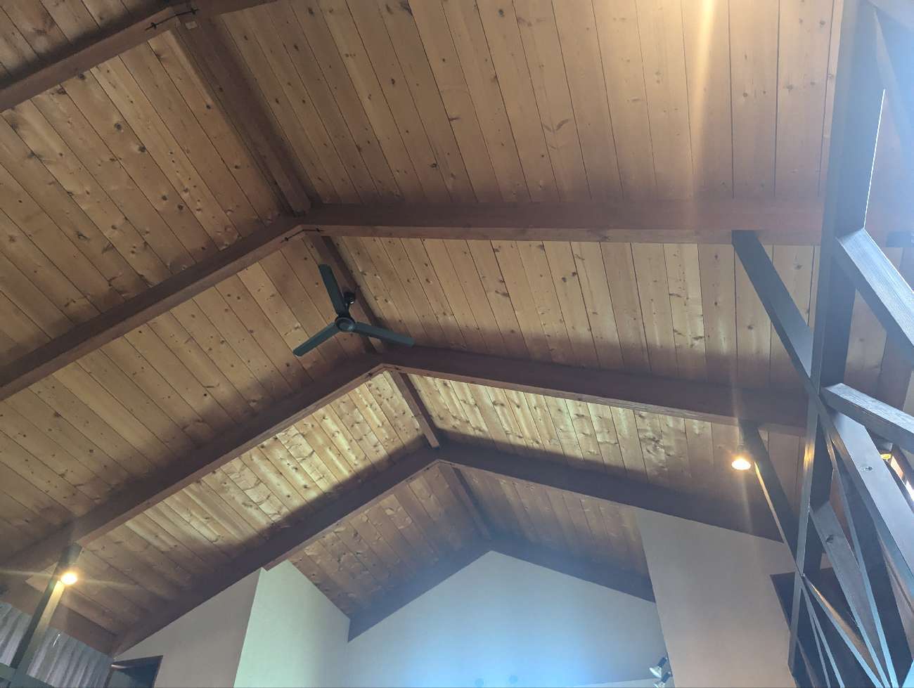 東郷町　雨漏りにより変色した屋根