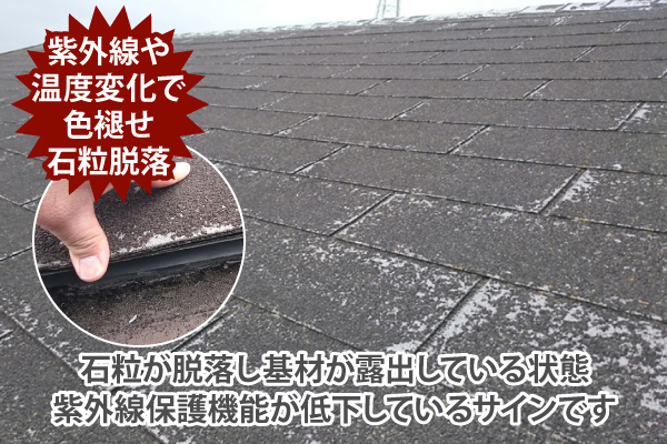 石粒が脱落し基材が露出している状態、紫外線保護機能が低下しているサインです